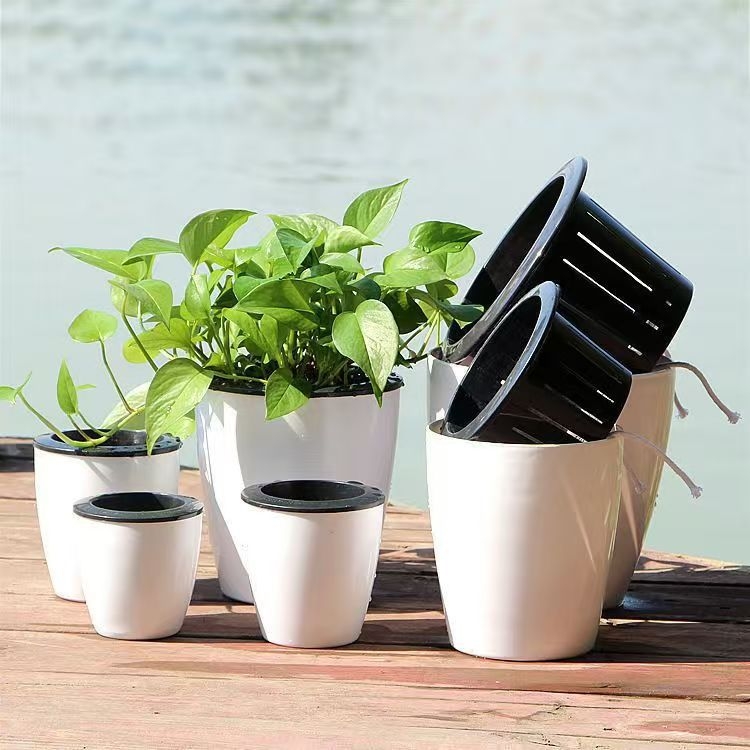 Ghiveci mare din rășină pentru hidroponie, cu absorbție automată a apei – pothos, design minimalist