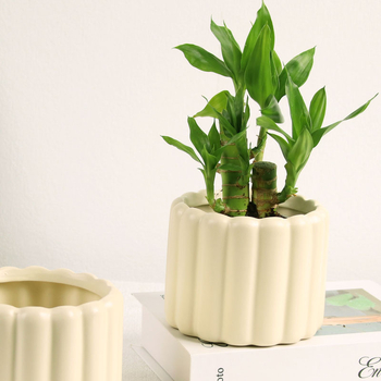 Ghiveci ceramic, stil nordic, compact pentru balcon interior