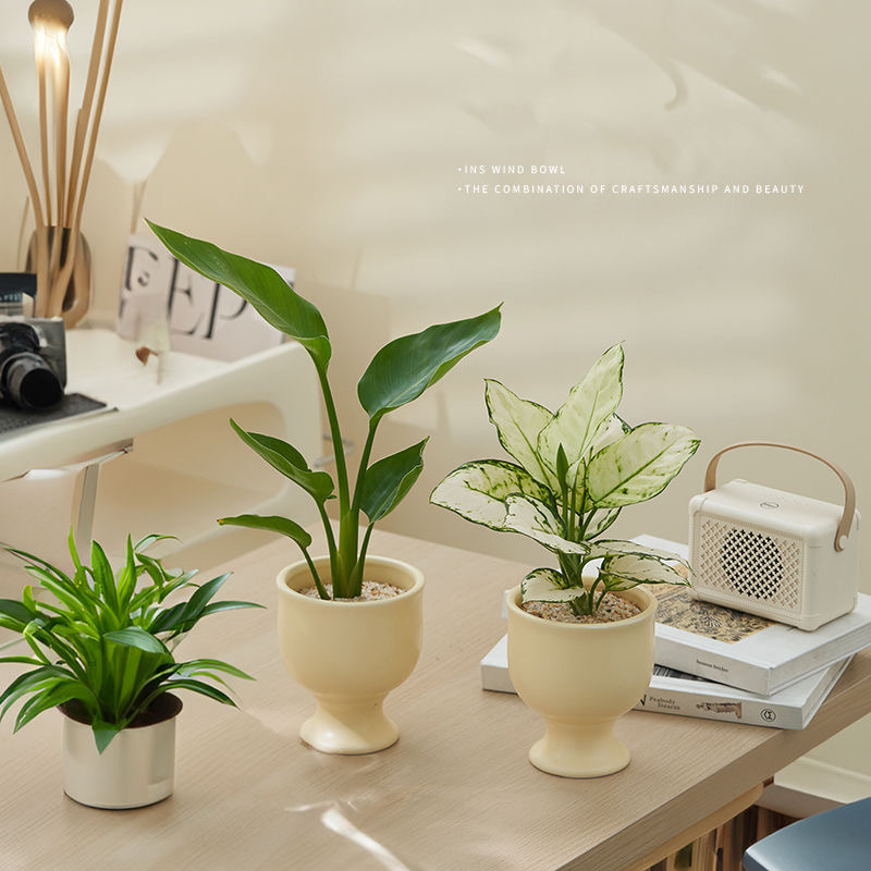 Ghiveci ceramic în stil nordic pentru birou și plante de interior