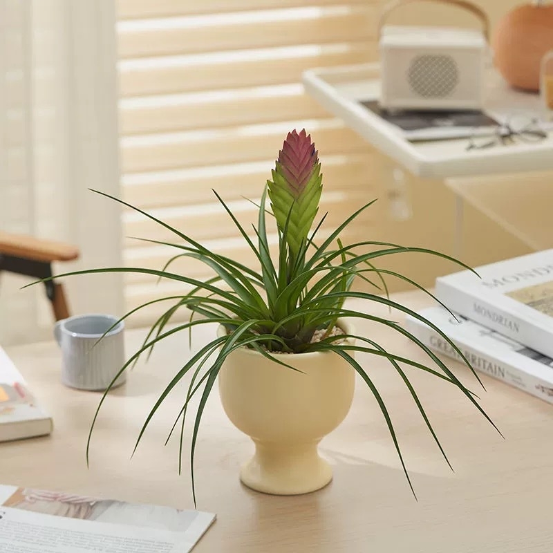 Ghiveci ceramic în stil nordic pentru birou și plante de interior