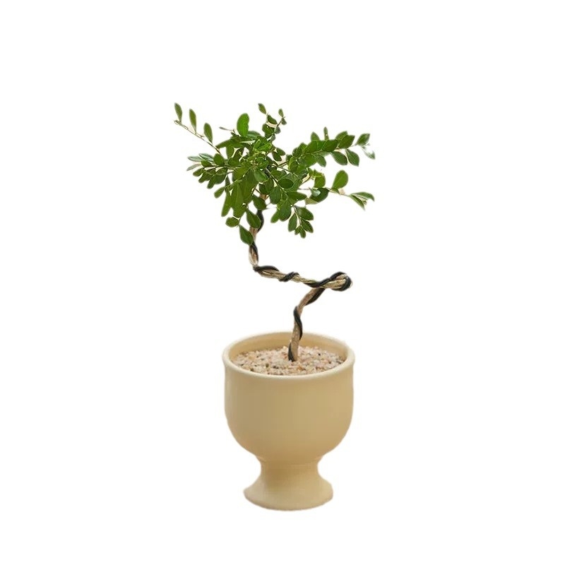 Ghiveci ceramic în stil nordic pentru birou și plante de interior