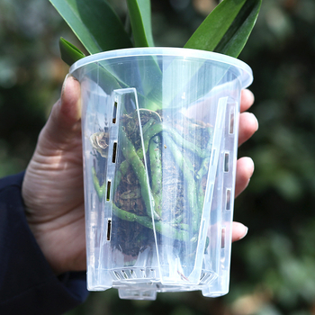 Ghiveci pentru Phalaenopsis cu coloană de aer, transparent, diametru extra mare, ghiveci rotund din plastic pentru birou