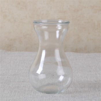 Vază hidroponică din sticlă pentru zambile, bazin din plastic transparent