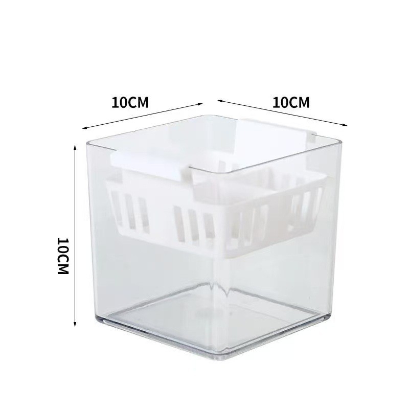 Vas de sticlă transparent pentru lalele hidroponice, coș de plantare din plastic