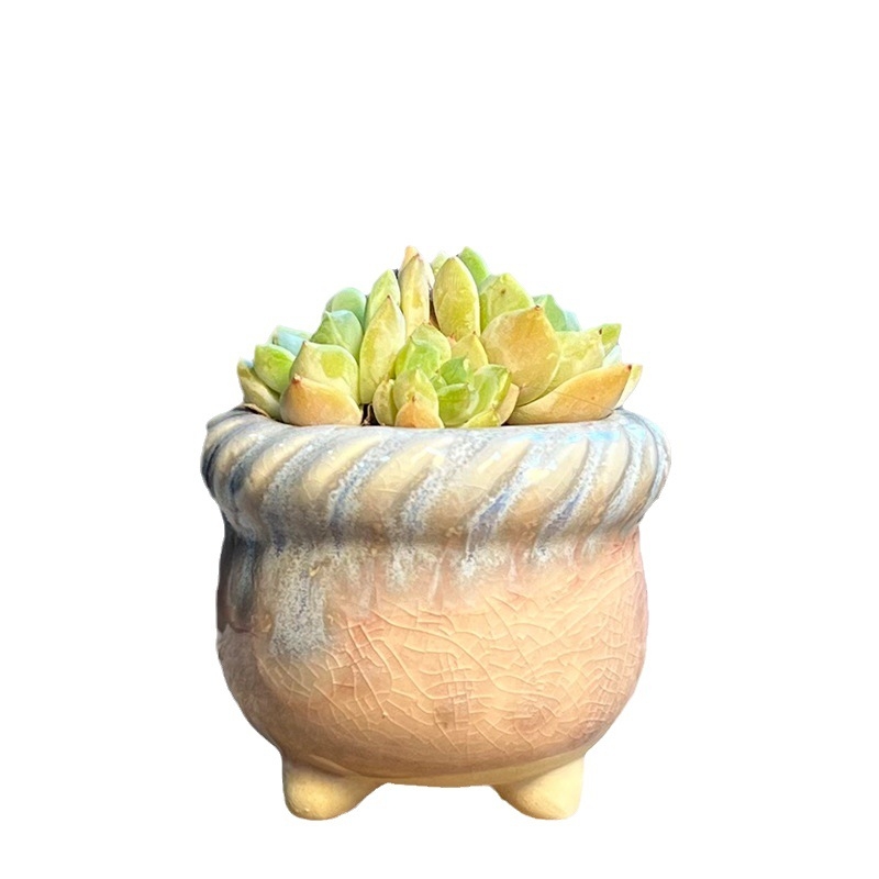Ghiveci ceramic respirabil pentru suculente, glazură curgătoare, design retro drăguț și creativ, textură împletită, deschidere mică