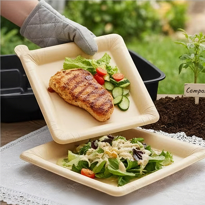 Farfurii de hârtie de unică folosință pentru grătar în aer liber și picnic, calitate alimentară, diametrul 24 cm, nu necesită spălare