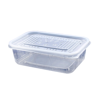 Cutie de prânz de unică folosință, recipient transparent pentru livrare, cu nervuri întărite pentru conservarea fructelor