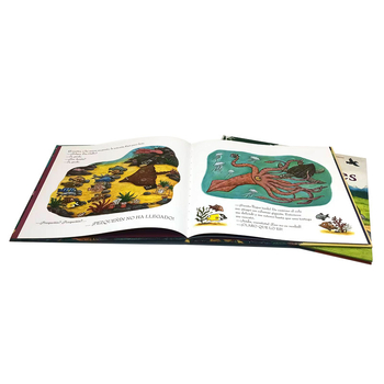 Cărți pentru copii cu ilustrații personalizate și albume cu text; format broșură sau hardcover; legare adezivă; tipografie cu douăzeci de ani de experiență
