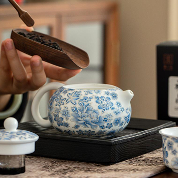 Set de ceai din porțelan alb cu motif Kung Fu, ceainic și tavă pentru ceai, ceramic, pentru două persoane