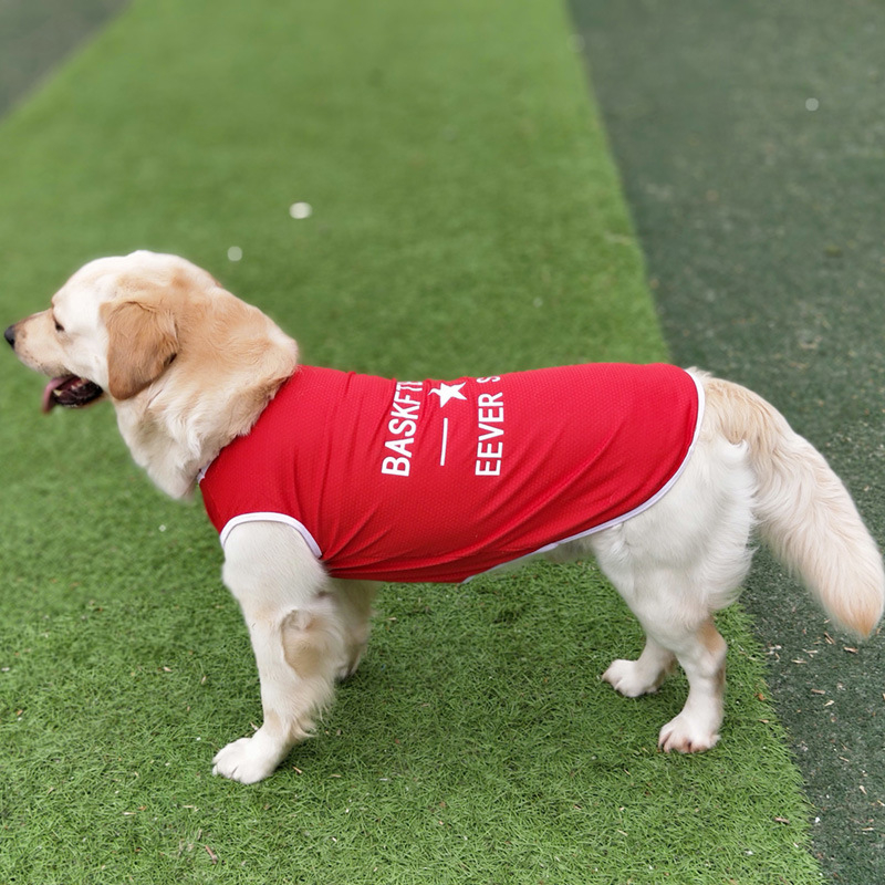 Ljetna lagana vest za velike pse: Zlatni retriver, Labrador, Border Collie, Samojed