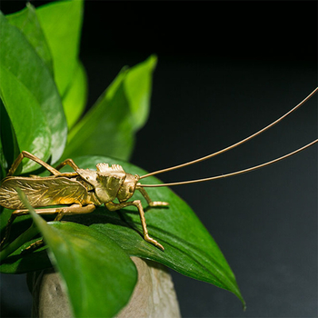 Pet de ceai din Cupru Pur, insectă decorativă realistă, suport pentru pixuri, decor pentru ceremonia ceaiului