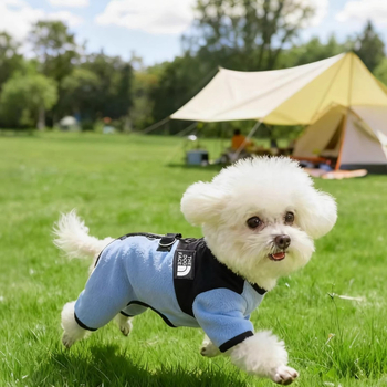 Jakna za pse od lamljanog pliša sa šarenim blok dizajnom za male pasmine (Bichon Frisé, Toy Poodle), topla za jesen i zimu
