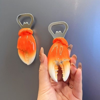 Deschizător de sticle cu magnet pentru frigider, design personalizat