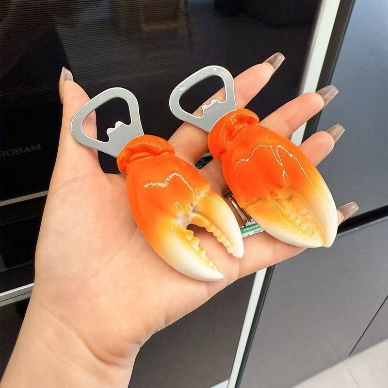 Deschizător de sticle cu magnet pentru frigider, design personalizat