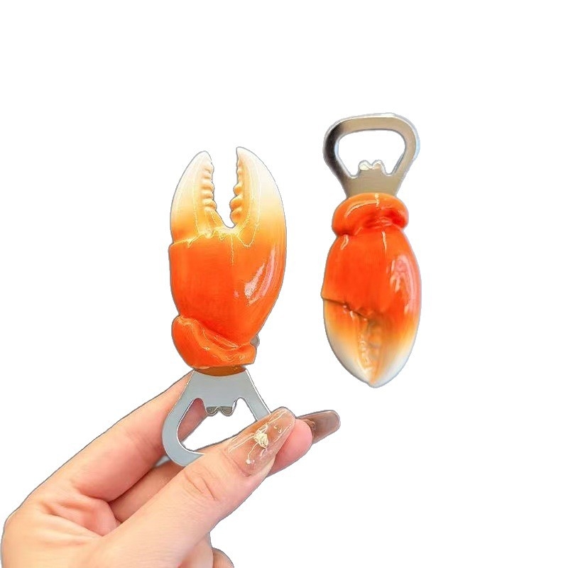 Deschizător de sticle cu magnet pentru frigider, design personalizat