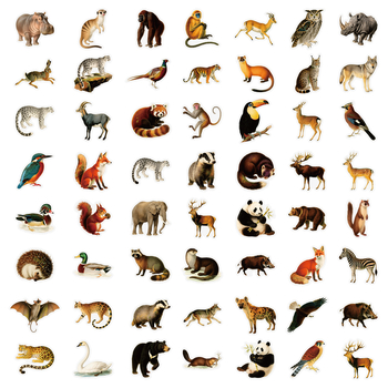 Set de 56 autocolante cu animale din pădure – drăguțe, realiste, autocolante PET transparente pentru bagaje și jurnale