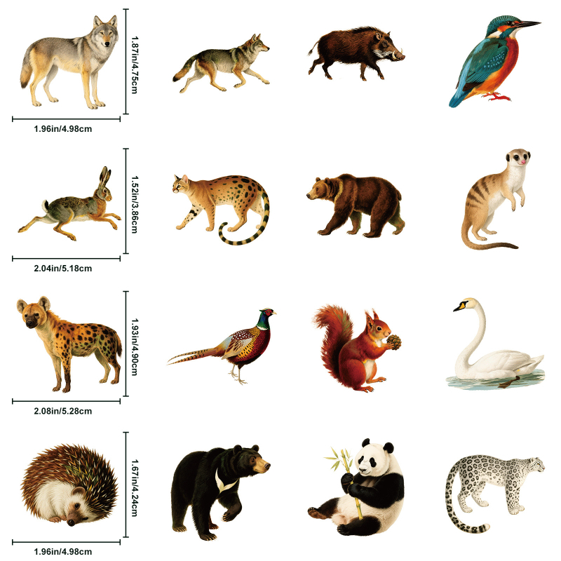 Set de 56 autocolante cu animale din pădure – drăguțe, realiste, autocolante PET transparente pentru bagaje și jurnale