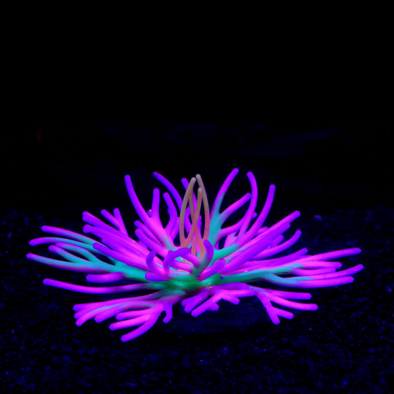 SH045 Silikonske mekane umjetne koralje i morske anemone za akvarij