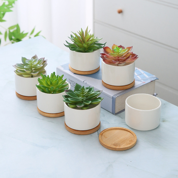 Ghiveci ceramic alb, minimalist, pentru suculente — ideal pentru birou, casă sau balcon, decorativ, bonsai mic