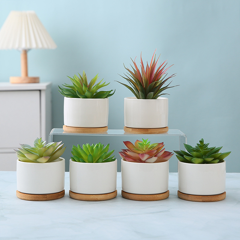 Ghiveci ceramic alb, minimalist, pentru suculente — ideal pentru birou, casă sau balcon, decorativ, bonsai mic
