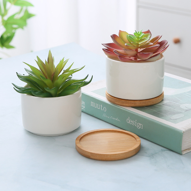 Ghiveci ceramic alb, minimalist, pentru suculente — ideal pentru birou, casă sau balcon, decorativ, bonsai mic