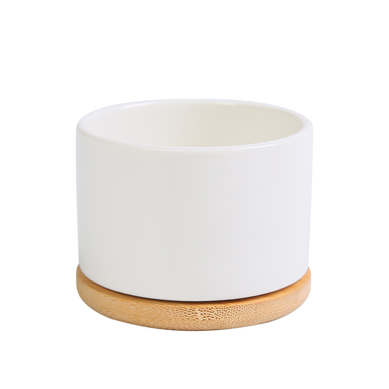 Ghiveci ceramic alb, minimalist, pentru suculente — ideal pentru birou, casă sau balcon, decorativ, bonsai mic