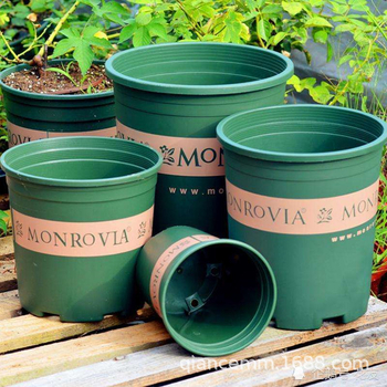 Ghiveci de un galon pentru flori și legume, plantare verde creativă pentru balcon, ghiveci din rășină plastică pentru suculente, pothos și trandafiri