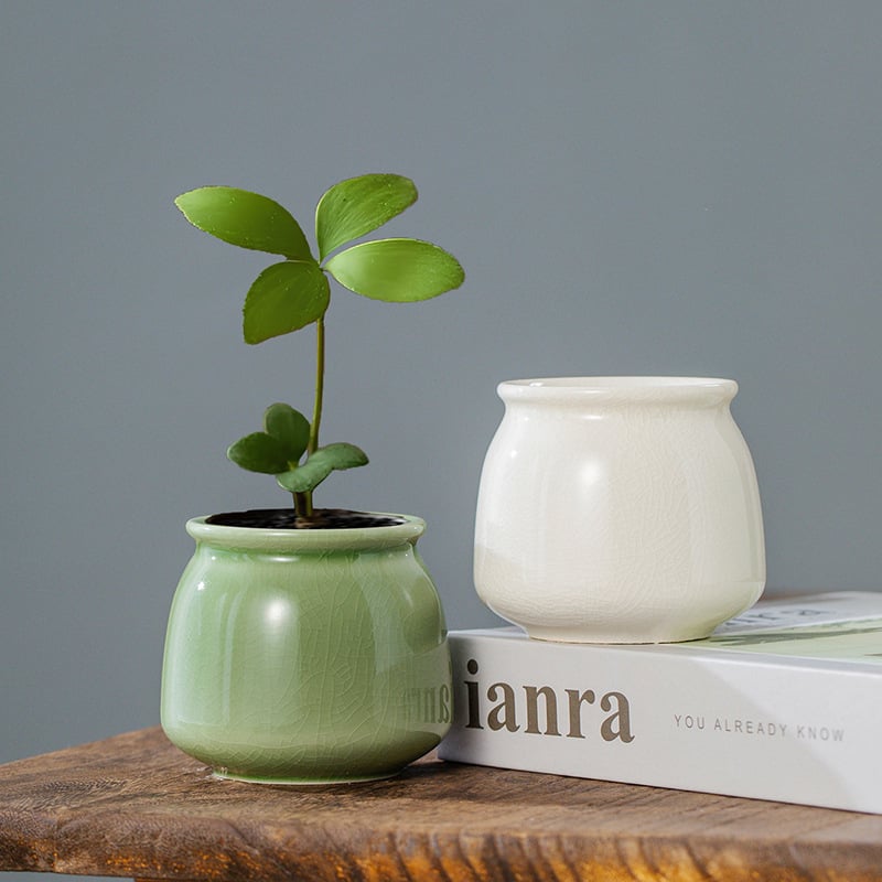 Ghiveci ceramic pentru hidroponie, glazură Crackle glaze, mic recipient de birou pentru plante verzi