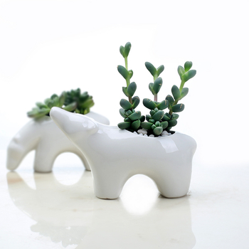 Ghiveci ceramic pentru suculente, în stil nordic, cu design cuplu de urși polari pentru birou