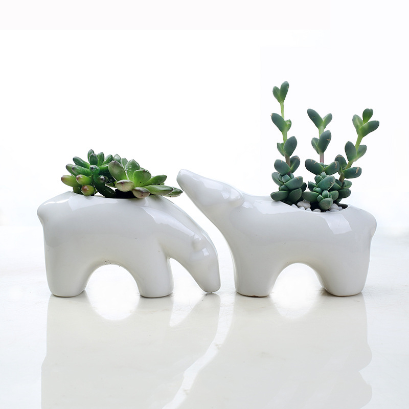 Ghiveci ceramic pentru suculente, în stil nordic, cu design cuplu de urși polari pentru birou
