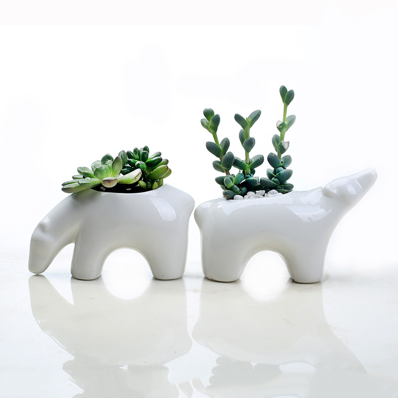Ghiveci ceramic pentru suculente, în stil nordic, cu design cuplu de urși polari pentru birou
