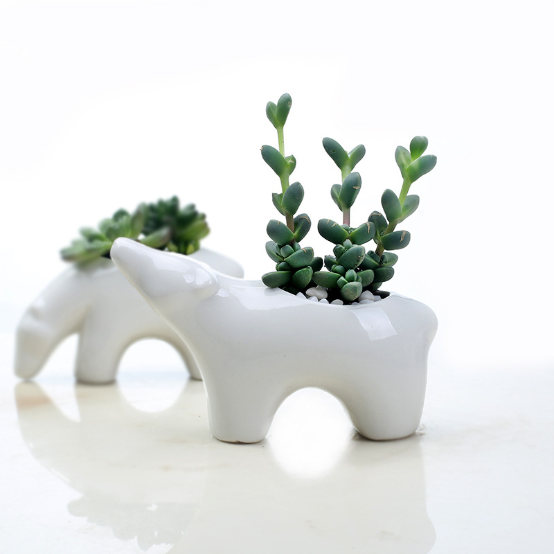 Ghiveci ceramic pentru suculente, în stil nordic, cu design cuplu de urși polari pentru birou