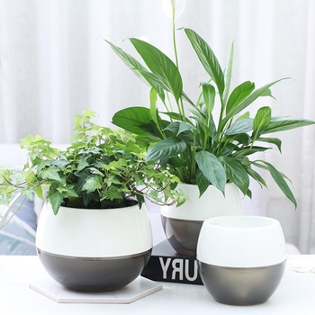 Oulinze ghiveci rotund bicolor din plastic, auto-udare