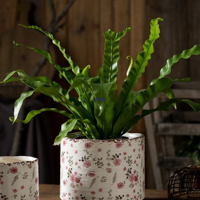 Ghiveci ceramic cu stil vintage proaspăt, lux discret pentru casă, pentru suculente, pothos și Phalaenopsis, disponibil în dimensiuni mari și mici