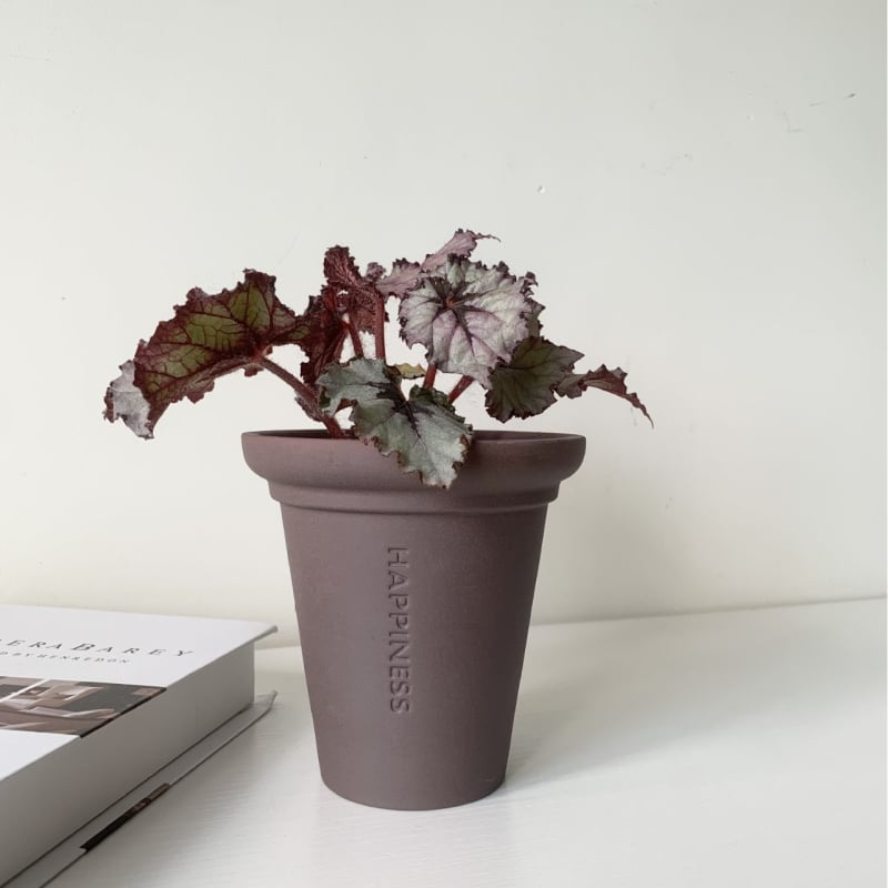 Ghiveci ceramic din lut, retro, pentru suculente, elegant și aerisit, design creativ, pentru birou