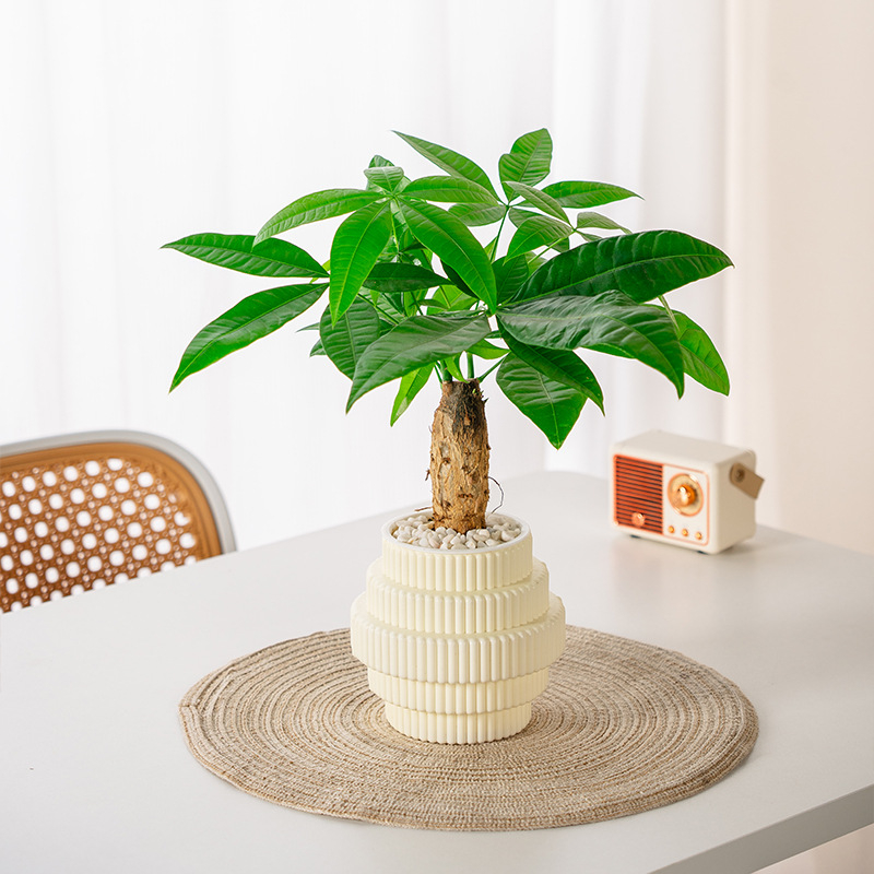 Ghiveci de birou din rășină plastică, auto-udare, pentru balcon – 3D cultivare în pământ