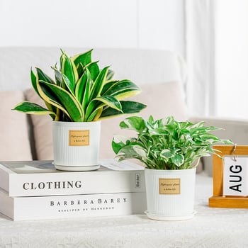 Ghiveci din rășină simplu, aspect ceramic, alb, cu farfurie, pentru plantele de birou și suculente
