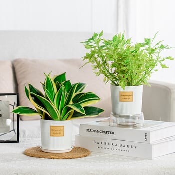 Ghiveci din rășină simplu, aspect ceramic, alb, cu farfurie, pentru plantele de birou și suculente