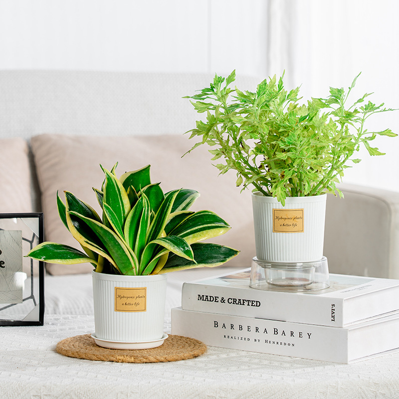 Ghiveci din rășină simplu, aspect ceramic, alb, cu farfurie, pentru plantele de birou și suculente