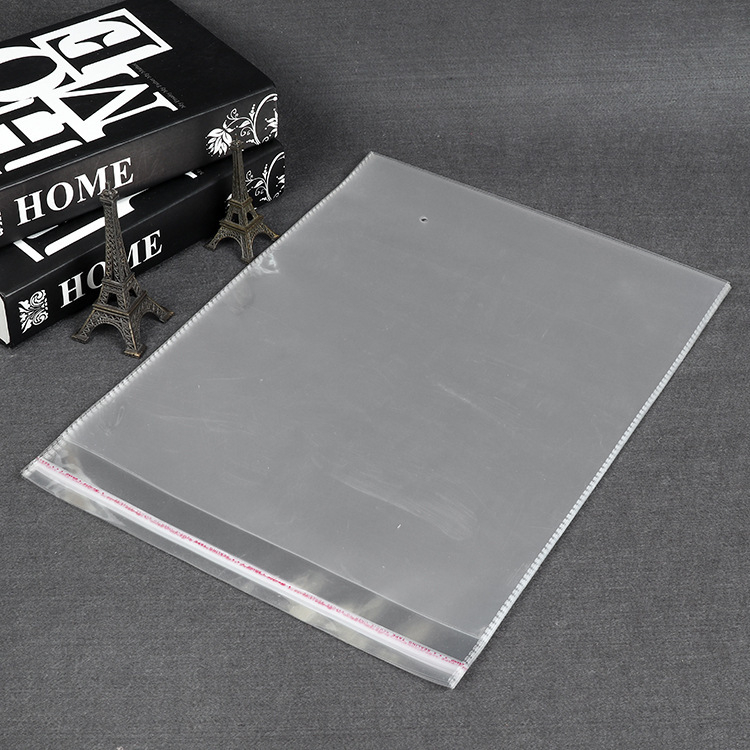 Sac OPP transparent autoadeziv cu gaură perforată pentru agățare, tip zip, 24x35 cm, forme variate