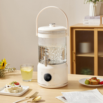 Ceainic din sticlă pentru sănătate cu control al temperaturii, capacitate mare 3–4 L, pentru ceaiuri din fructe, infuzii de plante și ceai de flori