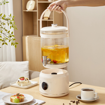 Ceainic din sticlă pentru sănătate cu control al temperaturii, capacitate mare 3–4 L, pentru ceaiuri din fructe, infuzii de plante și ceai de flori