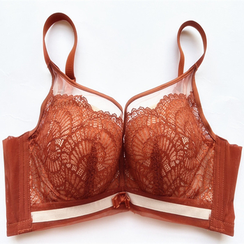 Čipkasti grudnjak s podstavom od 100% Mulberry svile, bez žice, push-up, za male grudi, košarica 3/4, model 2530