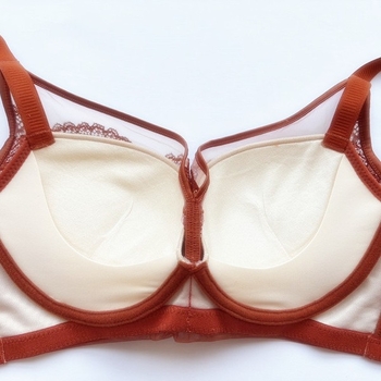 Čipkasti grudnjak s podstavom od 100% Mulberry svile, bez žice, push-up, za male grudi, košarica 3/4, model 2530