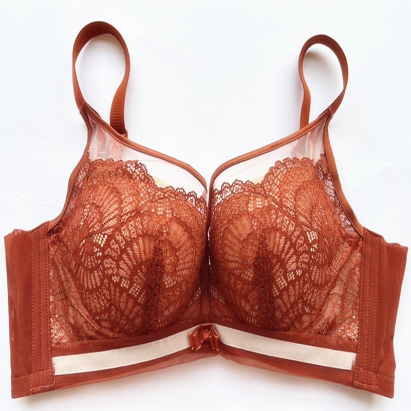Čipkasti grudnjak s podstavom od 100% Mulberry svile, bez žice, push-up, za male grudi, košarica 3/4, model 2530