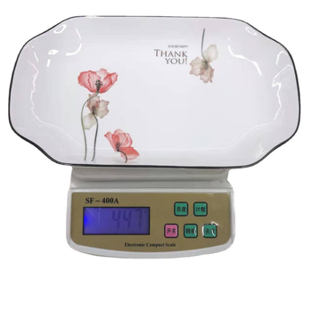Farfurie de pește din porțelan, 10 inci, model floral, stil minimalist modern, formă neregulată, potrivit pentru microunde