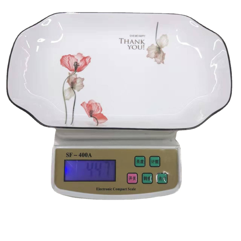 Farfurie de pește din porțelan, 10 inci, model floral, stil minimalist modern, formă neregulată, potrivit pentru microunde