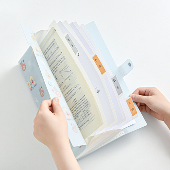 Organizator A4 cu 5 compartimente, design rață animată, dosar PP
