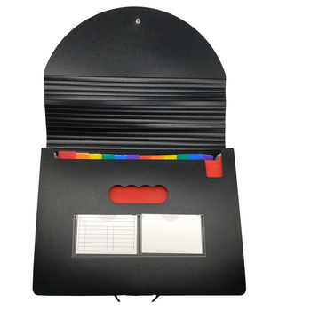 Dosar creativ pentru studenți din PP, organizator A4 tip acordeon