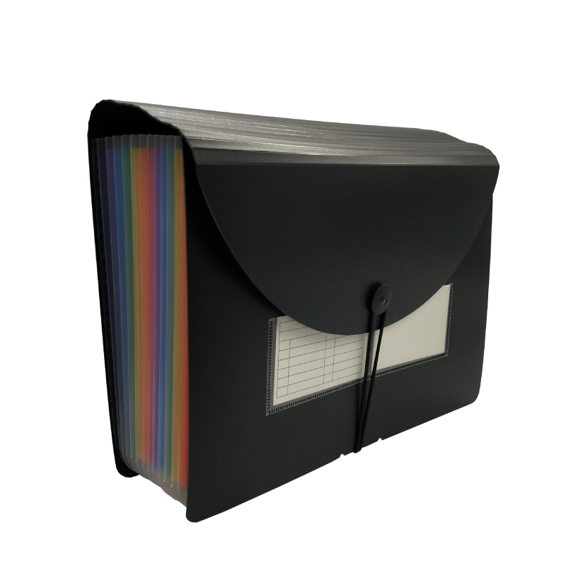 Dosar creativ pentru studenți din PP, organizator A4 tip acordeon